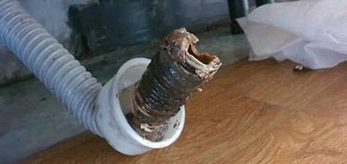 석촌동 하수구막힘 배수 상태와 주변 설비의 반응을 함께 살피는 점검 과정