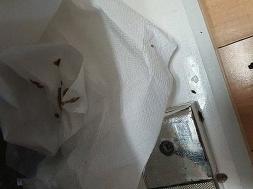 석촌동 하수구막힘, 원인별 대응 3가지